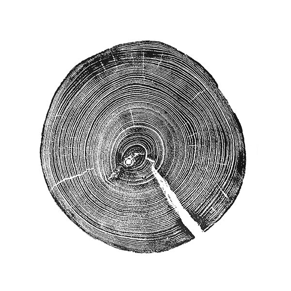Tree Ring Prints Ottawa